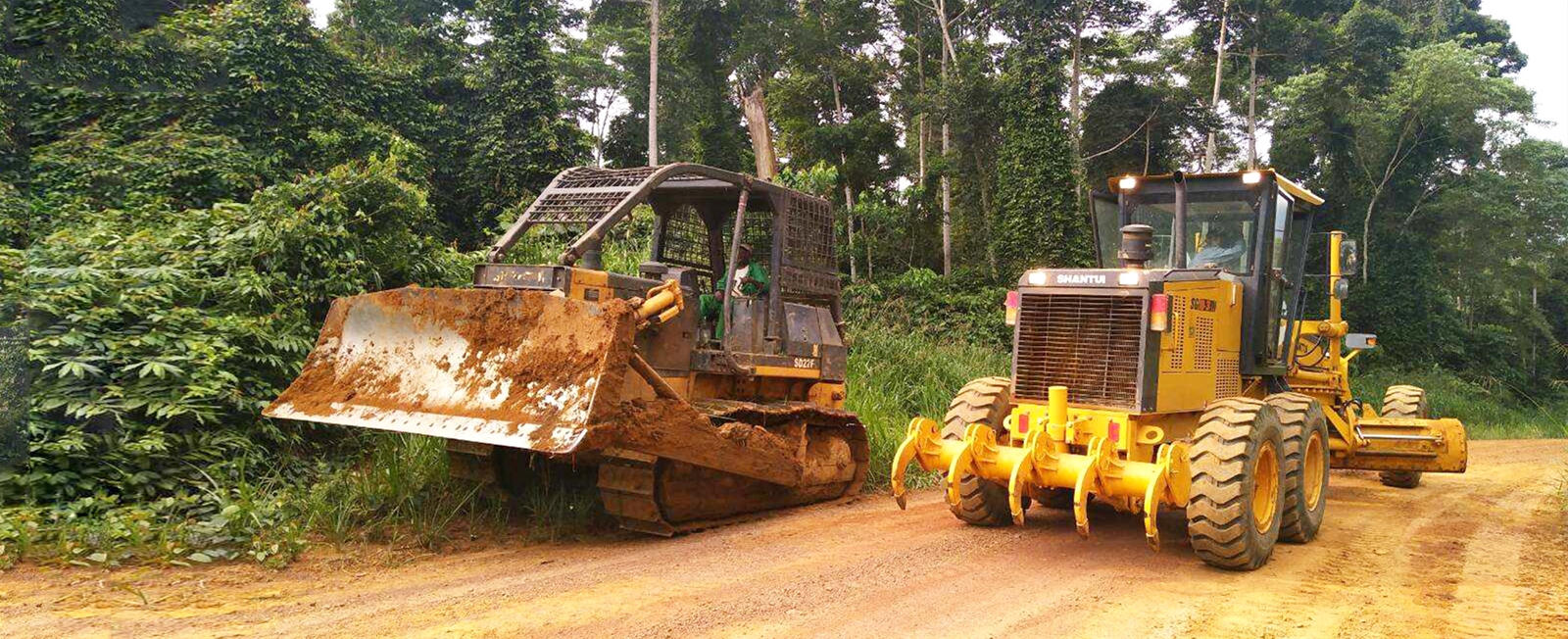 Lâm nghiệp Shantui | Mico Group