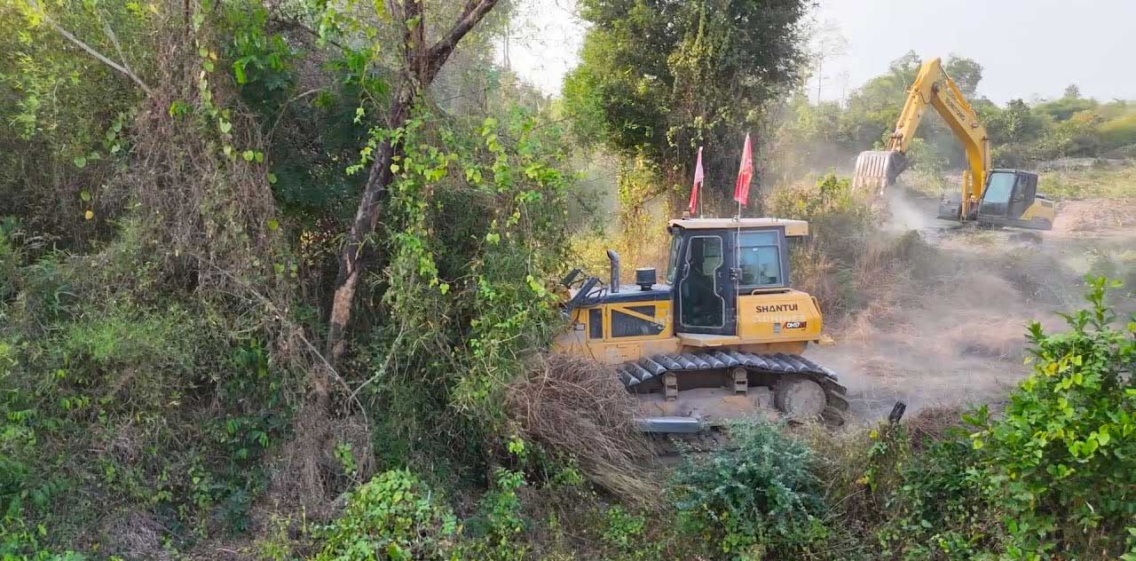 Lâm nghiệp Shantui | Mico Group